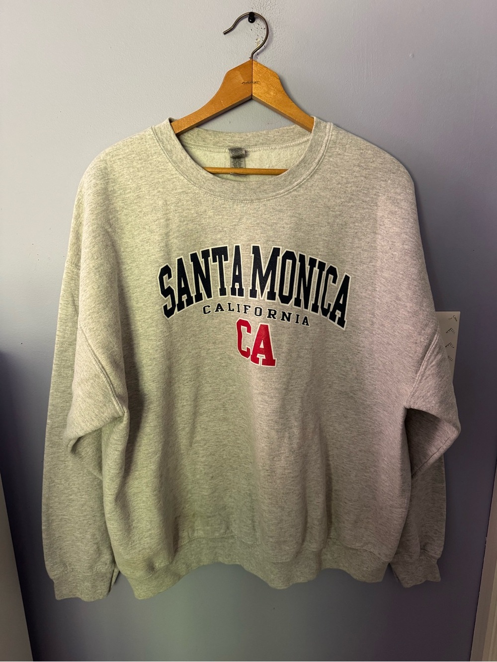 🦋Santa Monica CA hoodie🦋